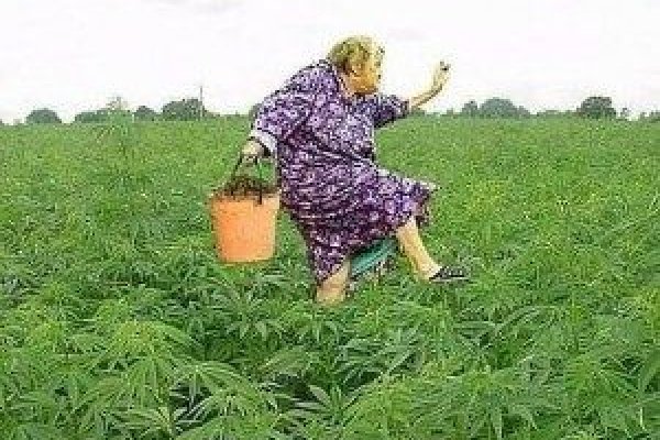 Замена гидры