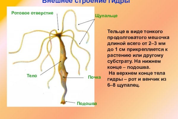 Почему не работает сайт кракен