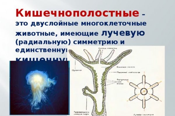 Kraken в россии